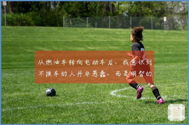 从燃油车转向电动车后，我意识到不换车的人并非愚蠢，而是明智的选择